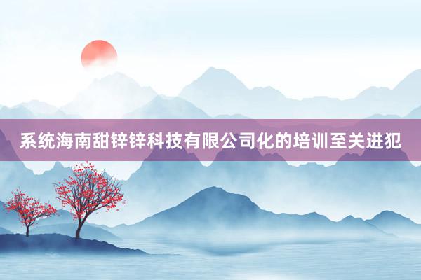 系统海南甜锌锌科技有限公司化的培训至关进犯