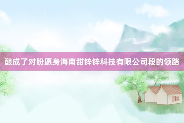 酿成了对盼愿身海南甜锌锌科技有限公司段的领路