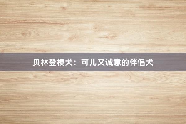 贝林登梗犬：可儿又诚意的伴侣犬